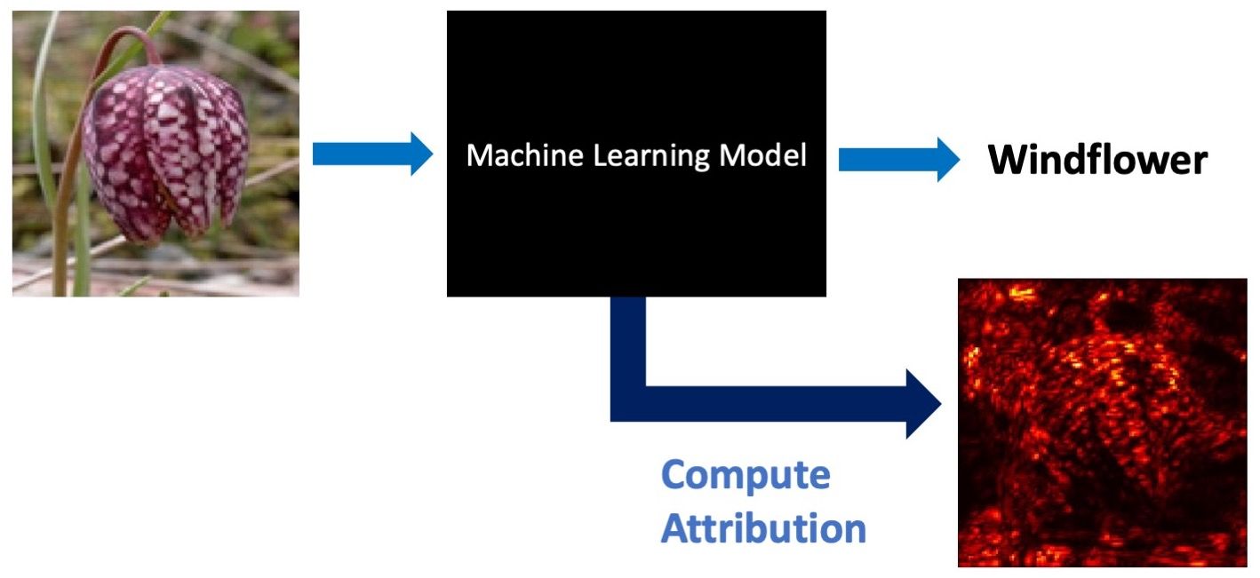 Robust Attribution Regularization