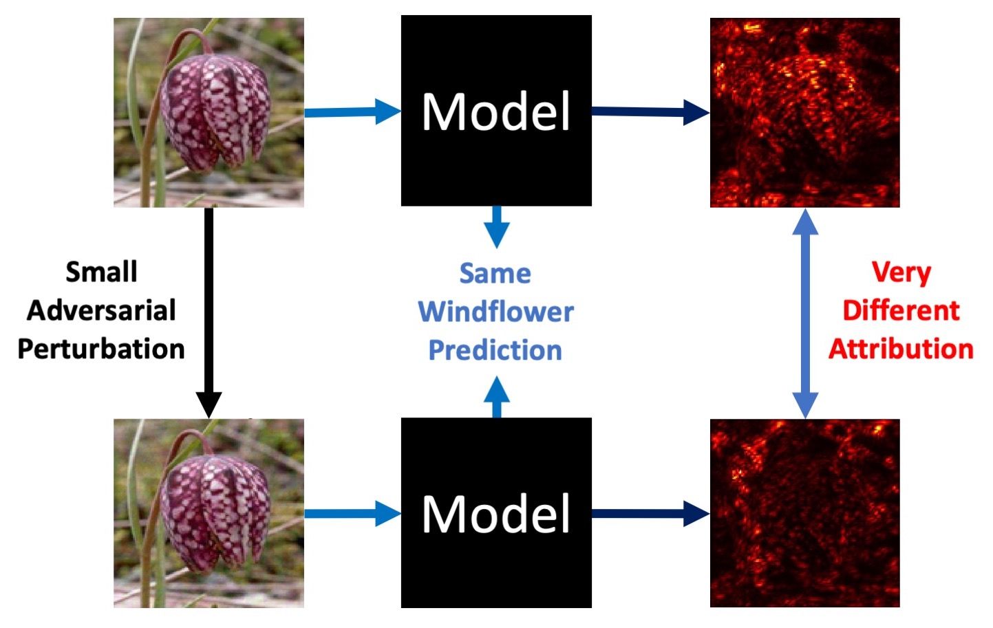 Robust Attribution Regularization