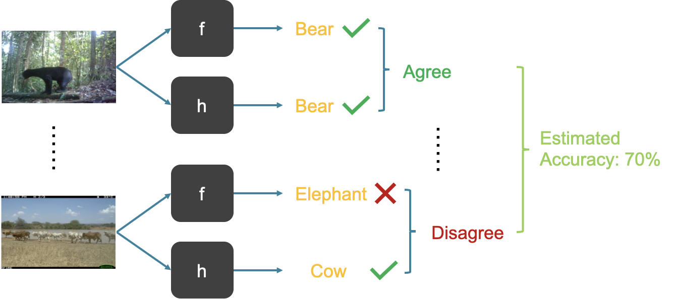 Can an AI model anticipate how well it will perform in the wild?